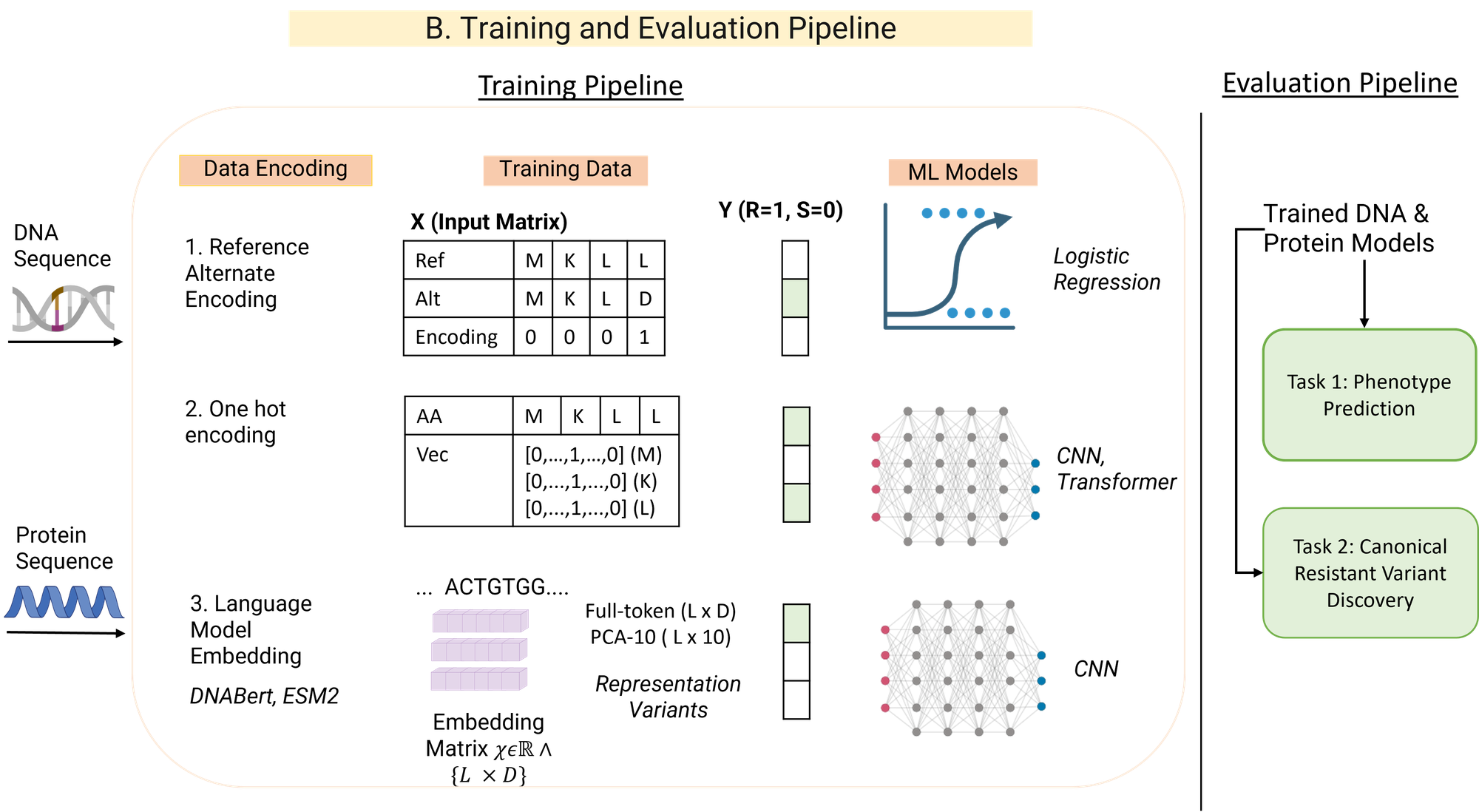 BIG-TB training and evaluation pipeline across data encodings, training data, and ML models